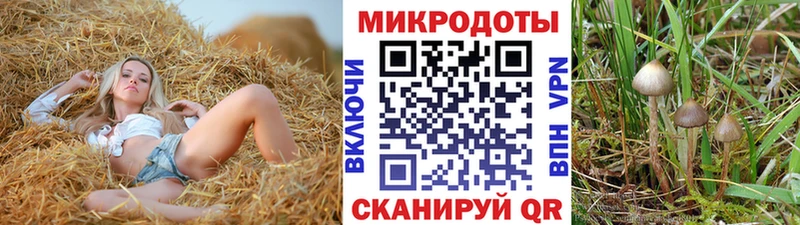 Галлюциногенные грибы Cubensis  Реутов 