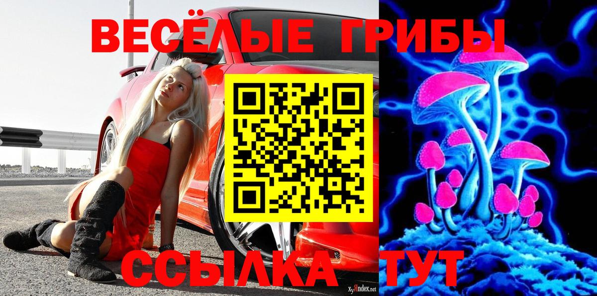 Галлюциногенные грибы GOLDEN TEACHER  Псилоцибиновые грибы мицелий  Вход с VPN  Реутов 