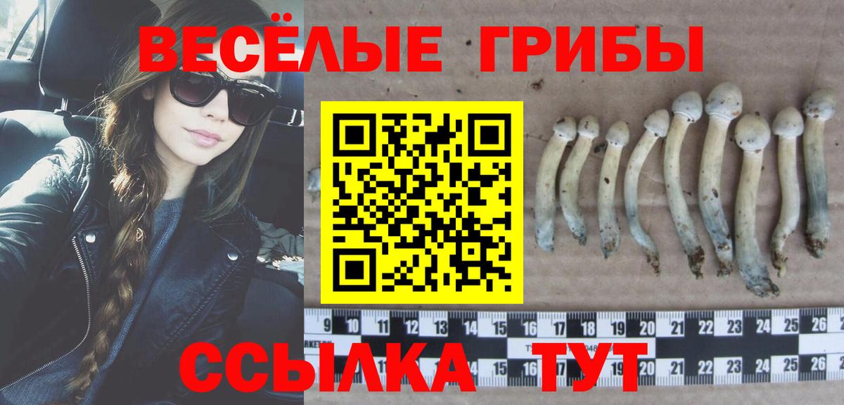 Галлюциногенные грибы ЛСД Реутов